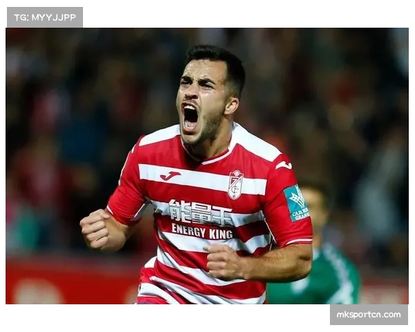 格拉纳达投入有限 俱乐部生存更依赖西甲联赛整体分红